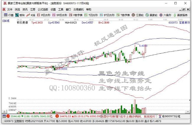 寶勝股份 寶勝股份