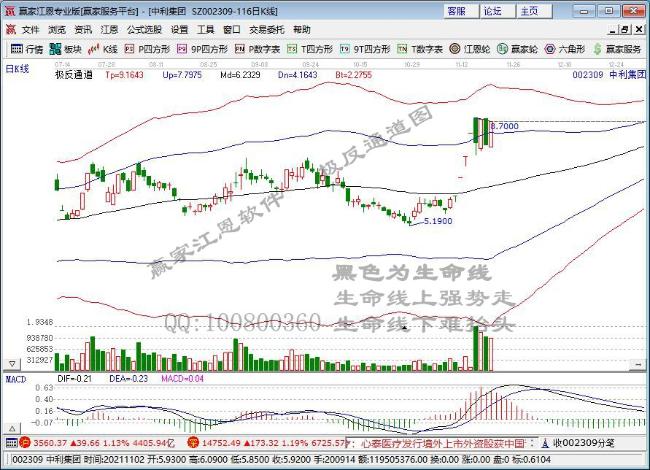 中利集團(tuán) 中利集團(tuán)