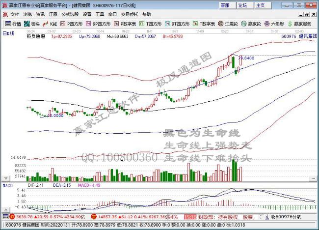 健民集團(tuán) 健民集團(tuán)