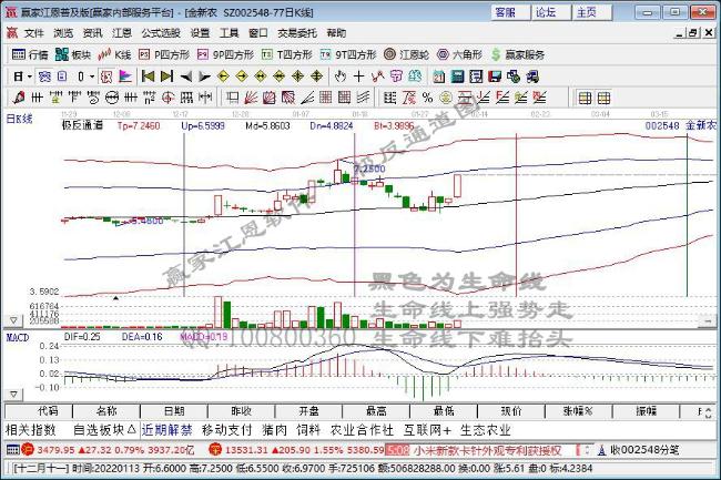 金新農(nóng) 金新農(nóng)