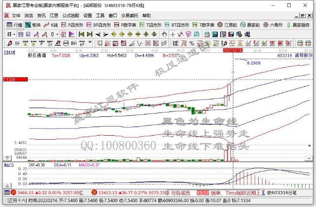 誠邦股份 誠邦股份
