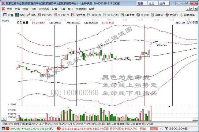 金種子酒 金種子酒