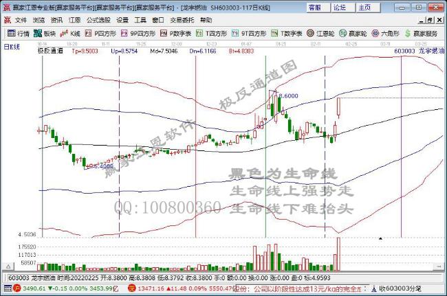 龍宇燃油 龍宇燃油