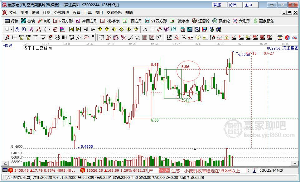 濱江集團 濱江集團