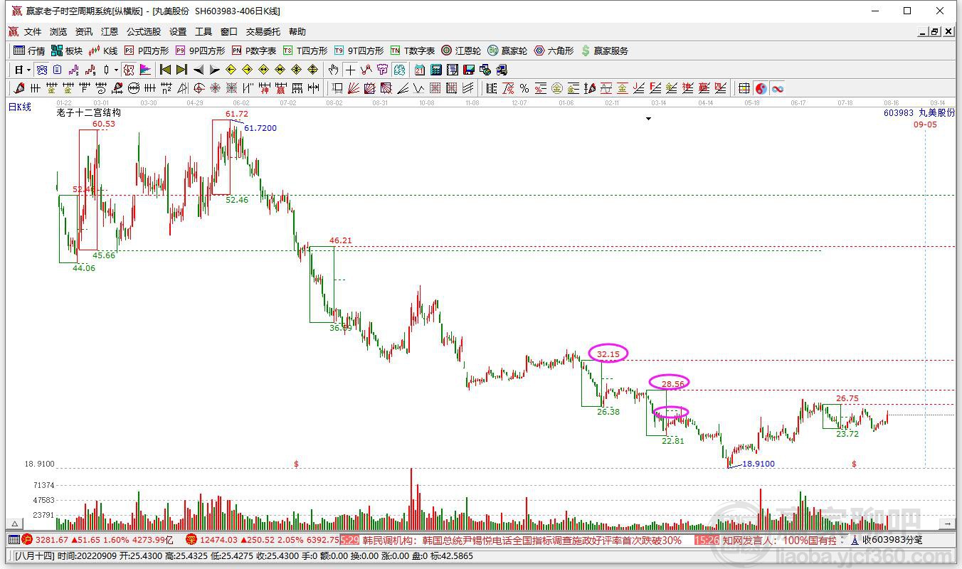 丸美股份 丸美股份