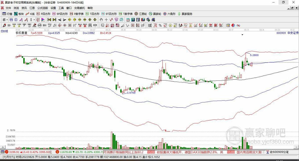 華安證券 華安證券