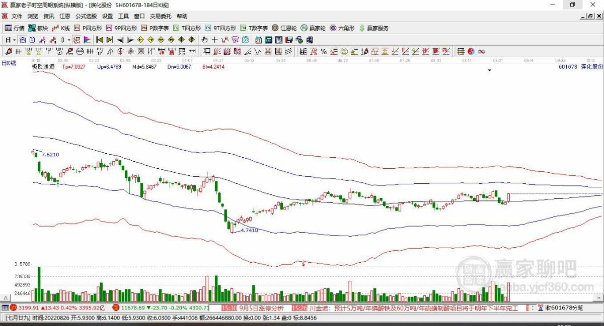 濱化股份 濱化股份