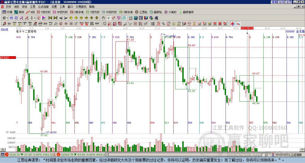 300999金龍魚贏家十二宮工具