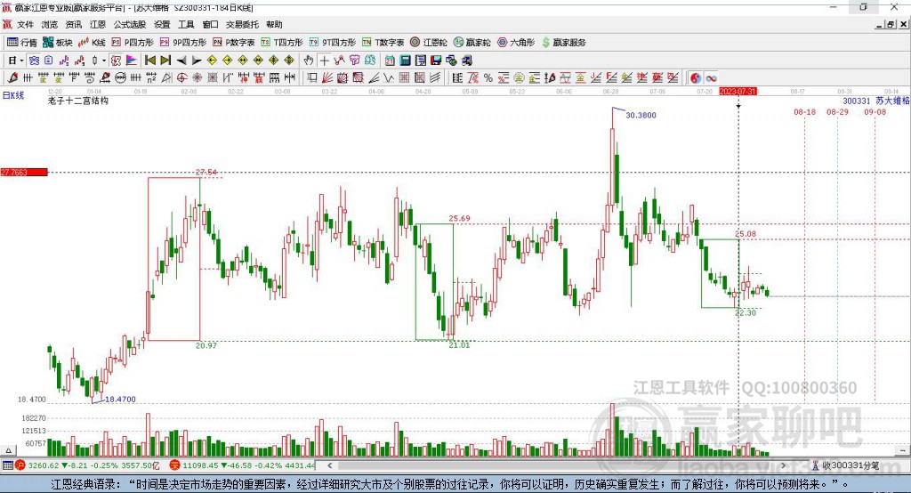 300331蘇大維格贏家十二宮工具