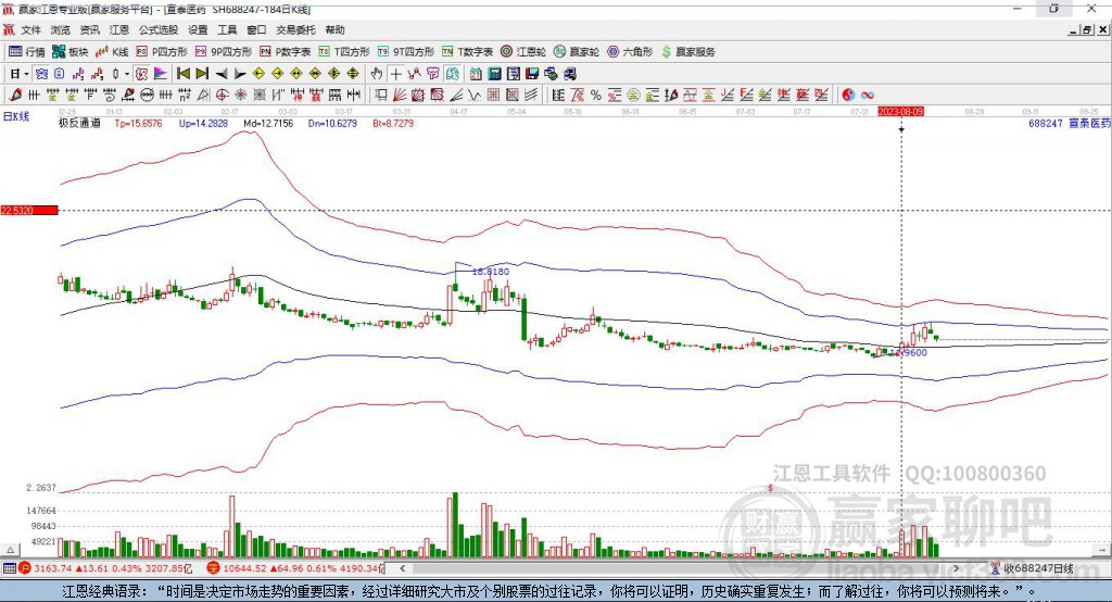 688247宣泰醫(yī)藥贏家極反通道工具