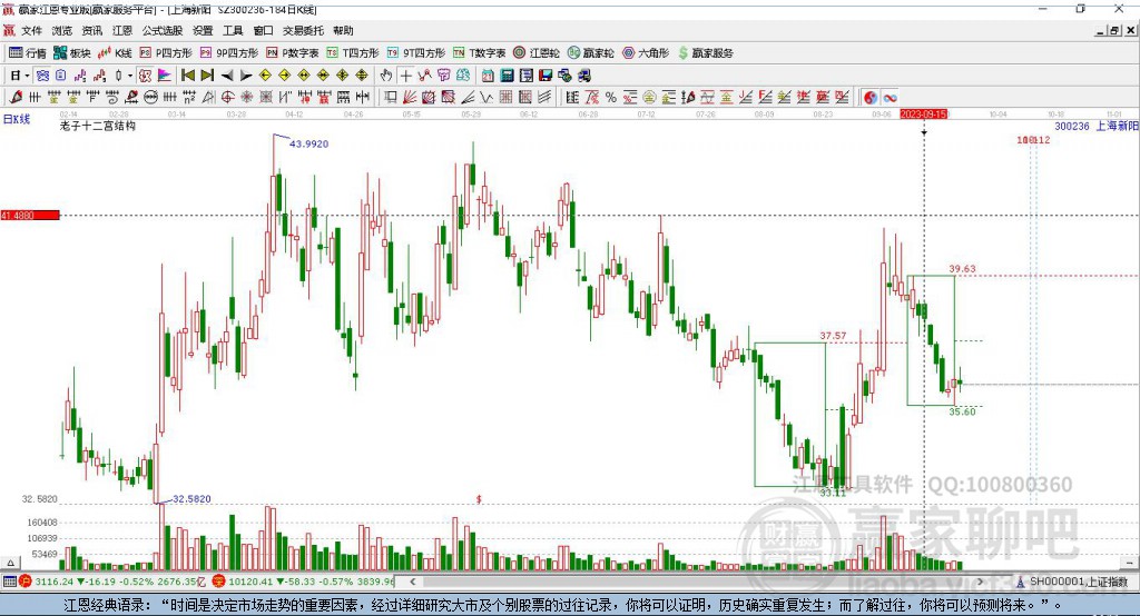 300236上海新陽贏家十二宮工具