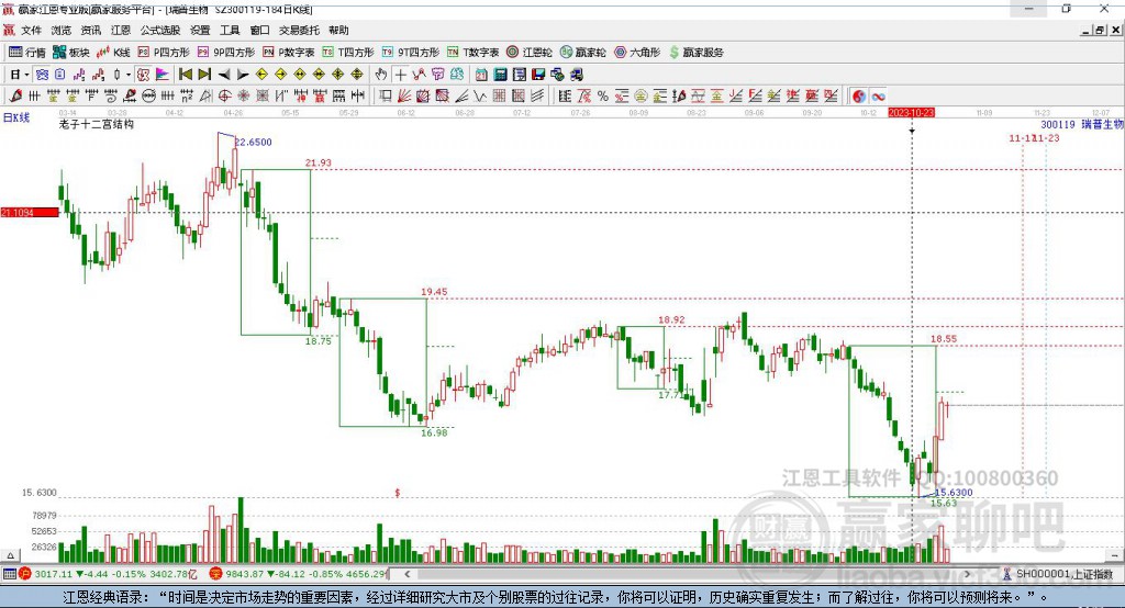 300119瑞普生物贏家十二宮工具