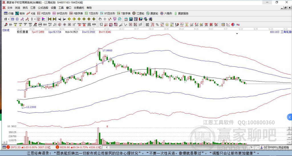 601163三角輪胎贏家極反通道工具