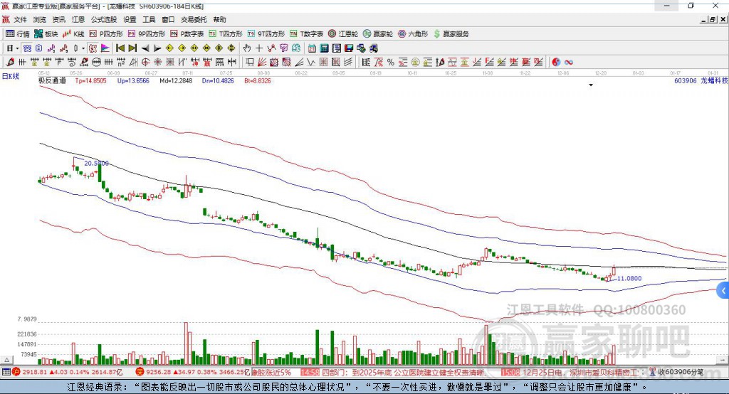 603906龍蟠科技贏家極反通道工具