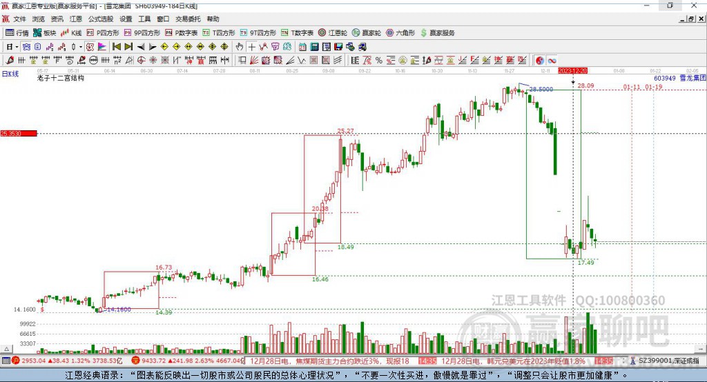 603949雪龍集團贏家十二宮工具