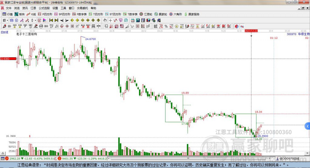 300970華綠生物贏家十二宮工具