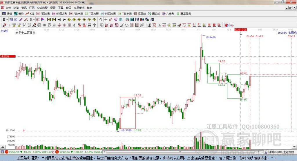 300884狄耐克贏家十二宮工具