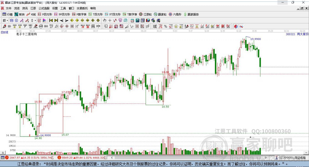 同大股份 同大股份