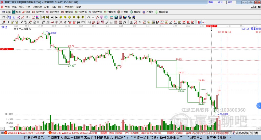 600196復(fù)星醫(yī)藥贏家十二宮工具