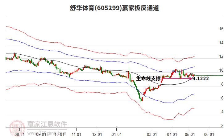 605299舒華體育贏家極反通道工具