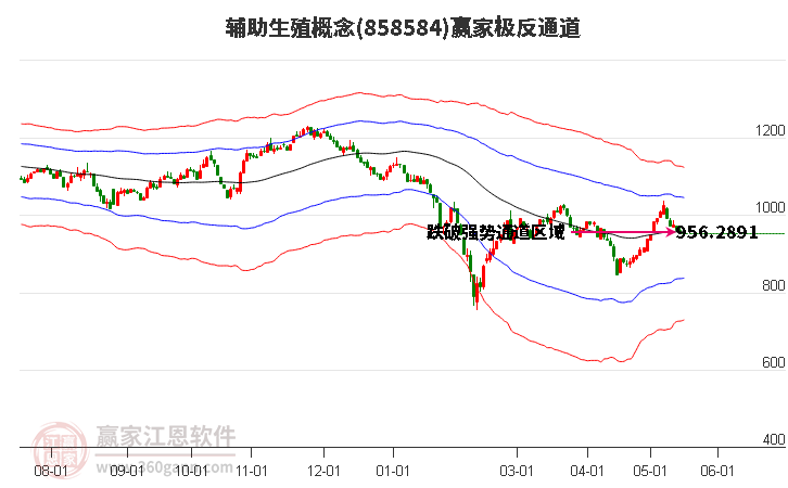 858584辅助生殖赢家极反通道工具