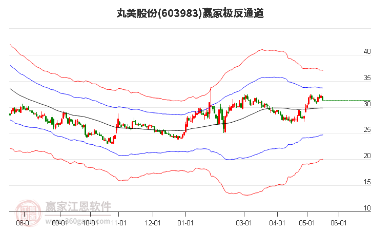 603983丸美股份赢家极反通道工具