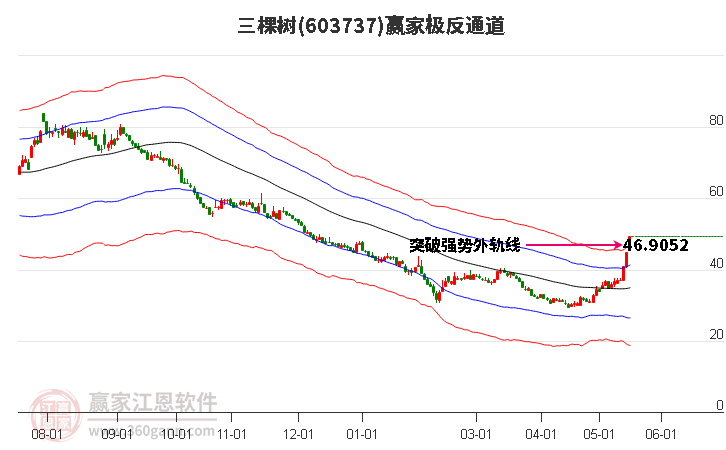 603737三棵树赢家极反通道工具