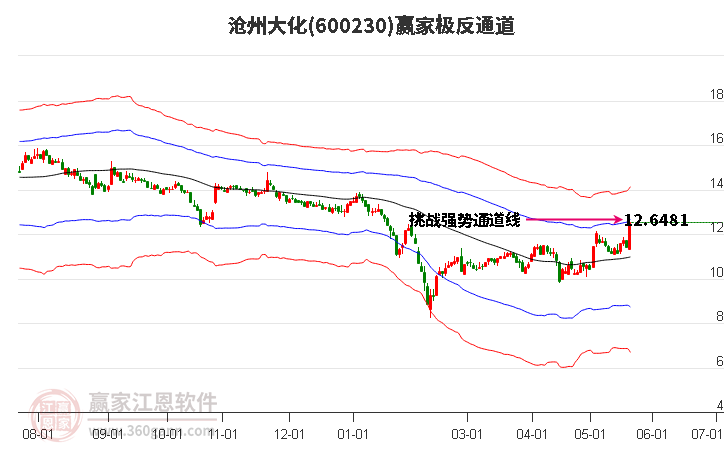 600230沧州大化赢家极反通道工具