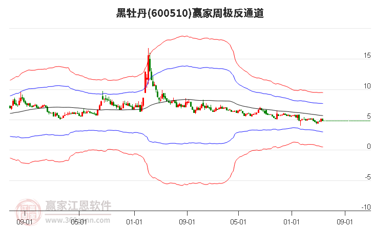 600510黑牡丹赢家极反通道工具