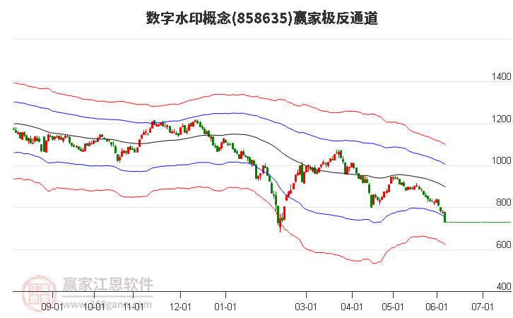 858635数字水印赢家极反通道工具