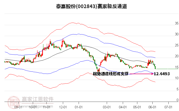 002843泰嘉股份赢家极反通道工具