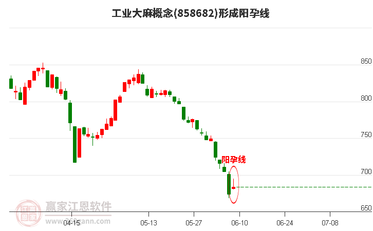 工业大麻概念形成阳孕线形态