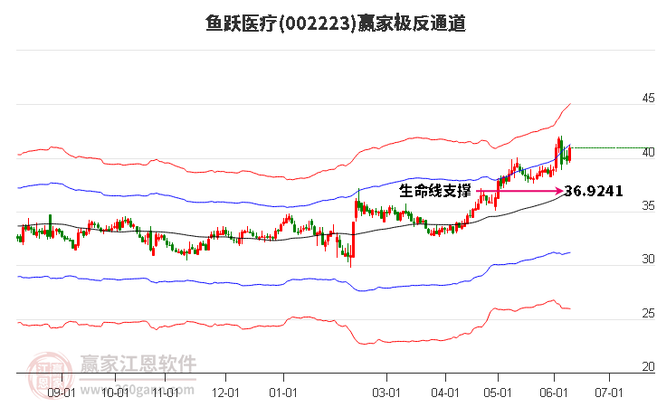 002223鱼跃医疗赢家极反通道工具