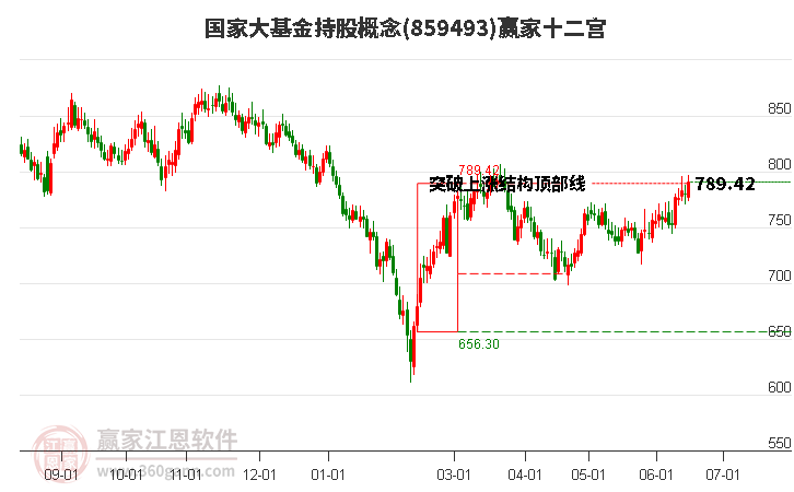 859493国家大基金持股赢家十二宫工具