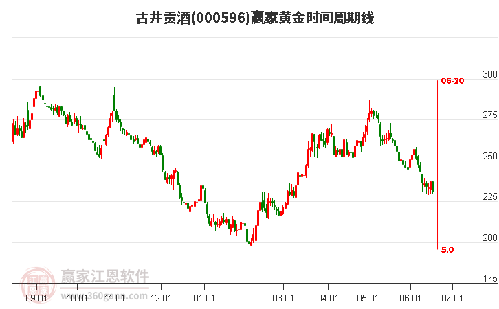 古井貢酒 古井貢酒