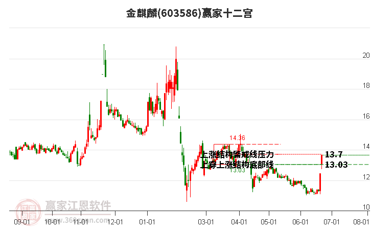 603586金麒麟贏家十二宮工具