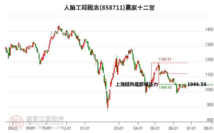 858711人脑工程赢家十二宫工具