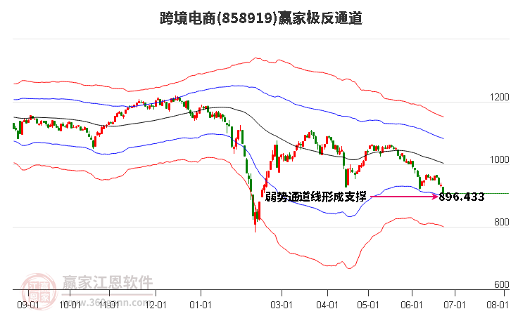 858919跨境电商赢家极反通道工具