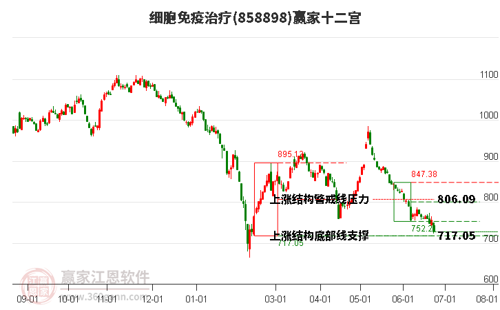 858898细胞免疫治疗赢家十二宫工具