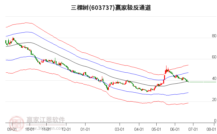 603737三棵树赢家极反通道工具