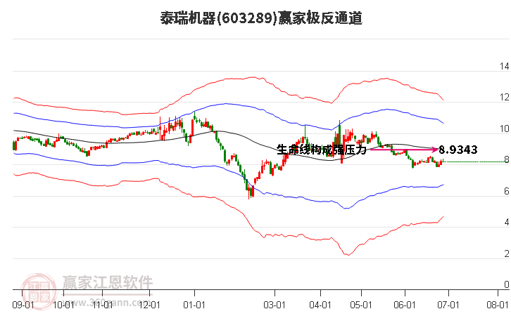 603289泰瑞机器赢家极反通道工具