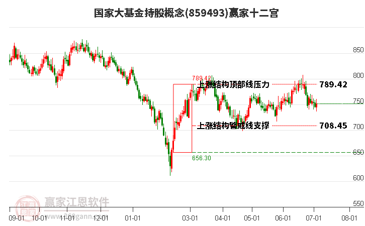 859493国家大基金持股赢家十二宫工具