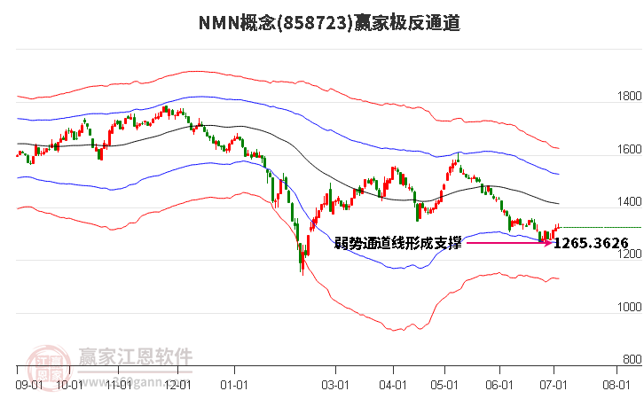 858723NMN赢家极反通道工具