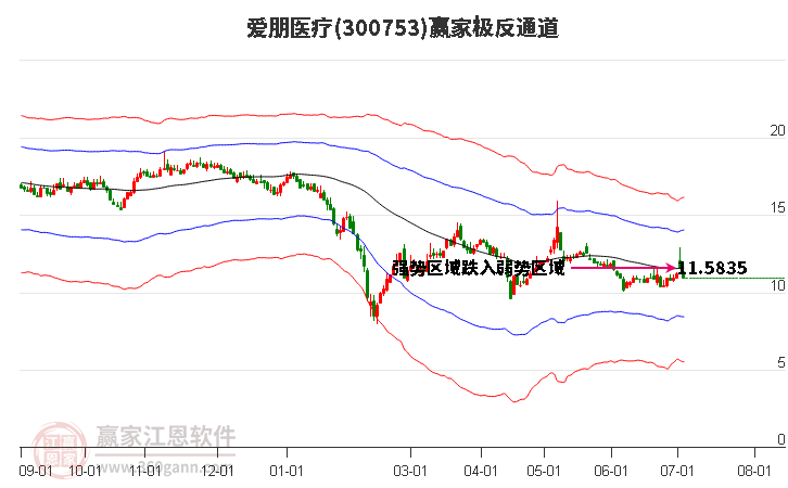 300753爱朋医疗赢家极反通道工具