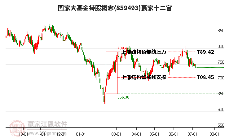 859493国家大基金持股赢家十二宫工具