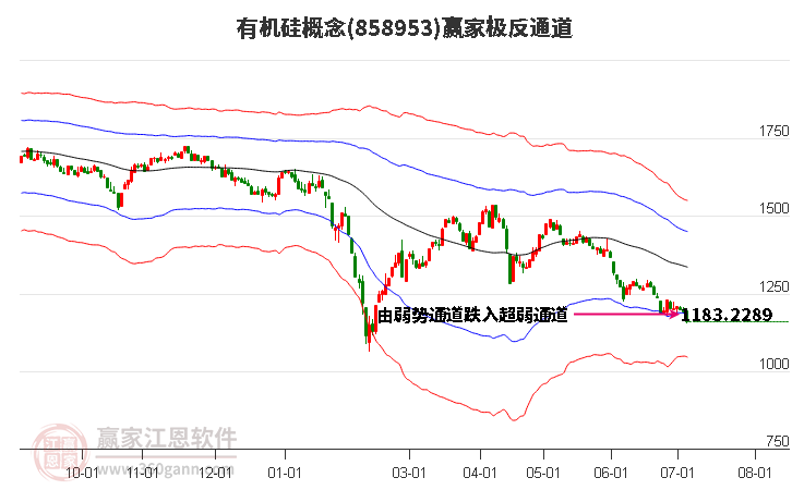 858953有机硅赢家极反通道工具