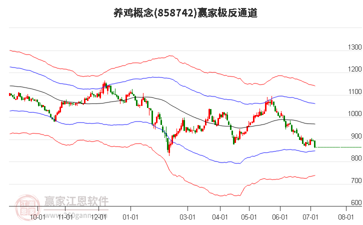 858742养鸡赢家极反通道工具