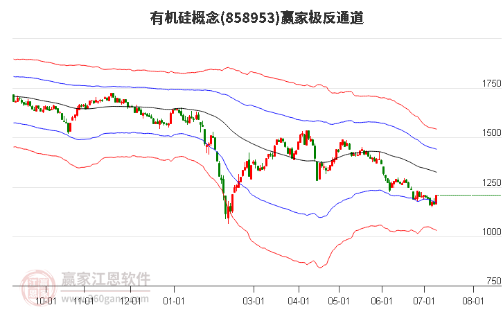 858953有机硅赢家极反通道工具