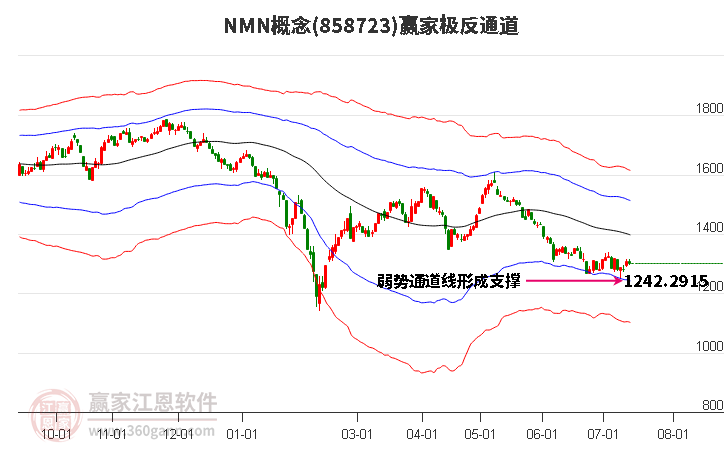 858723NMN赢家极反通道工具