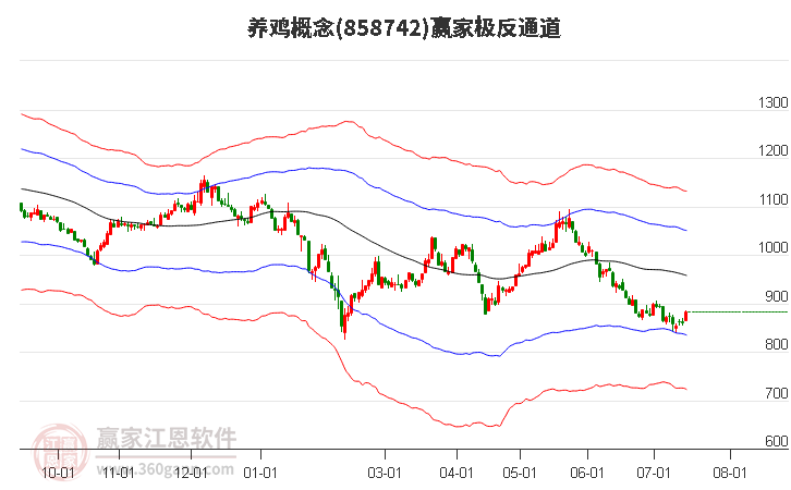 858742养鸡赢家极反通道工具